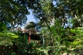 View over a tropical garden part with trees, jungle, green vegetation, red bridge and colorful building