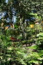 View over a tropical garden part with trees, jungle, green vegetation, red bridge and colorful building