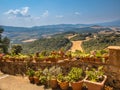 View over Tuscany Hilly Landscape with Pots of Flowers along the