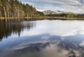 View over Uath Lochans at Glen Feshie in Scotland.