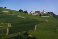 View over the village of La Morra and the vineyards of Langa Pie