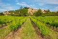 Vineyard in the charming village Bonnieux Royalty Free Stock Photo