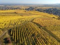 a view over a vineyard at Alsace France in autumn light Royalty Free Stock Photo