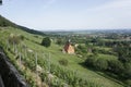 View over the vineyards of Dresden Pillnitz to the hills of Saxon Switzerland