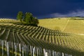 View over the vineyards and Langa hills during a thunderstorm