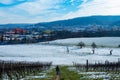 View over the vineyards of Limmattal. Switzerland, towards the urban valley Royalty Free Stock Photo