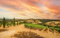 View over vineyards with red wine grapes and typical Tuscan landscape with agricultural fields and winery, tasting of the newly