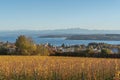 View over vineyards to Lake Constance and the Swiss Alps with the Saentis, Ueberlingen, Baden-Wuerttemberg, Germany Royalty Free Stock Photo