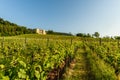 Villa Ludwigshoehe and vineyards, Edenkoben, Palatinate, Rhineland-Palatinate, Germany Royalty Free Stock Photo