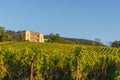 Vineyards and historic villa in the Palatinate in Germany Royalty Free Stock Photo