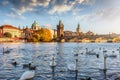 View over the Vltava river with swans to the Charles Bridge and old townscape of Prague, Czech Republic Royalty Free Stock Photo