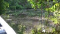 motorboat going down tropcial river in the amazon jungle