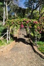 View over a wooden arch full of red or pink flowers in a garden