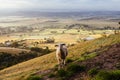 View over Yarra Glen in Australia