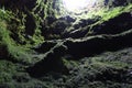 View of the overgrown lava channel of the Algar do Carvao, Terceira island, Azores Royalty Free Stock Photo