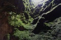 View of the overgrown lava channel of the Algar do Carvao, Terceira island, Azores