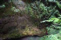 View of the overgrown lava channel of the Algar do Carvao, Terceira island, Azores Royalty Free Stock Photo