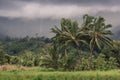 View overlooking Hanalei on Kauai, Hawaii Royalty Free Stock Photo