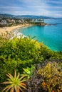 View of the Pacific Coast from Crescent Bay Point Park, in Laguna Beach, California. Royalty Free Stock Photo