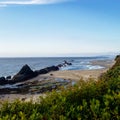 View on the Pacific Coast of Oregon