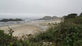 View of the Pacific from highway 101, on the Oregon coast.