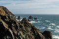 A view of the Pacific Ocean from Bodega Head Royalty Free Stock Photo