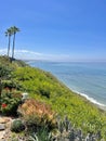 Pacific Vista: Coastal Majesty with Hillside Palms