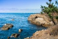 View of the Pacific Ocean coastline in Point Lobos State Natural Reserve, Carmel-by-the-Sea, Monterey Peninsula, California Royalty Free Stock Photo