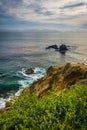 View of the Pacific Ocean from Crescent Bay Point Park Royalty Free Stock Photo