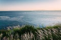 View of the Pacific Ocean in Rancho Palos Verdes Royalty Free Stock Photo