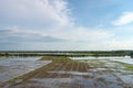 View of paddy field with soil preparation, planting rice.