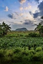 View of paddy fields,banana tree,mountain, small river,blue sky with dramatic clouds Royalty Free Stock Photo