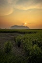 View of paddy fields,mountain during sunset