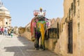 Painted elephant in Amer Fort, Rajasthan, Jaipur, India