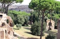 View from the Palatine Hill at the Colosseum, Rome, Italy