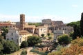 View from the Palatine Hill at ruins in Rome, Italy