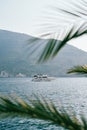 View through palm branches to a motor yacht sailing on the sea Royalty Free Stock Photo