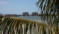 View through palm tree of Marco Island, Florida Royalty Free Stock Photo