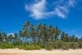 View of palm trees against the sky. Island. Royalty Free Stock Photo