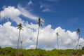 View of palm trees against the sky. Island. Royalty Free Stock Photo