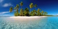 View of palm trees and sea at bavaro beach, punta cana, dominican republic, west indies, caribbean, central america Royalty Free Stock Photo