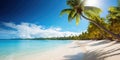 View of palm trees and sea at bavaro beach, punta cana, dominican republic, west indies, caribbean, central america Royalty Free Stock Photo