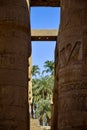 View of palm trees through tall columns of historical complex of Karnak temple with carved ancient Egyptian hieroglyphs Royalty Free Stock Photo