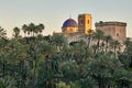 View of the Palmeral of Elche and view of the Altamira castle and the blue dome of the Santa MarÃÂ­a basilica, located in the Royalty Free Stock Photo