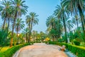 View of palms in the park villa bonanno in Palermo, Sicily, Italy