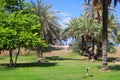 View of palms and place for rest in Ashkelon National Park, Israel