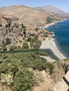 a view on the palm tree forest of preveli beach, crete, Greece