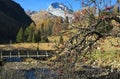 View of the Palpuogna lake with golden larch and the peak of Piz Ela, Canton of Grisons, Switzerland. Royalty Free Stock Photo