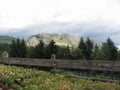 View of the Pania di Corfino mountain from the Orecchiella Nature Park in summer . Tuscany, Lucca, Italy