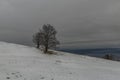 View from Pansky Diel hill for Banska Bystrica city Royalty Free Stock Photo